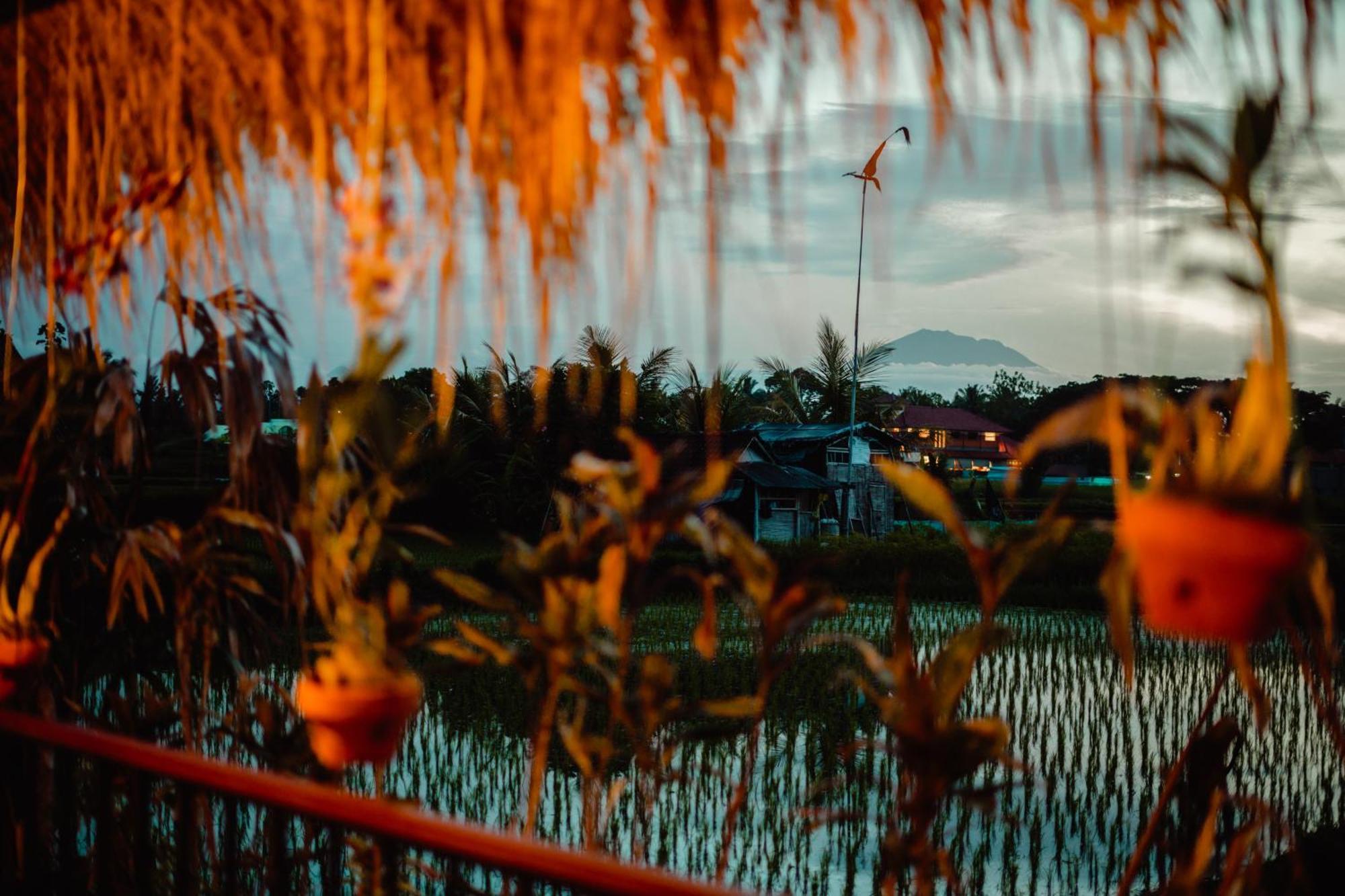 Nila Chandra Bungalows Ubud  Bagian luar foto